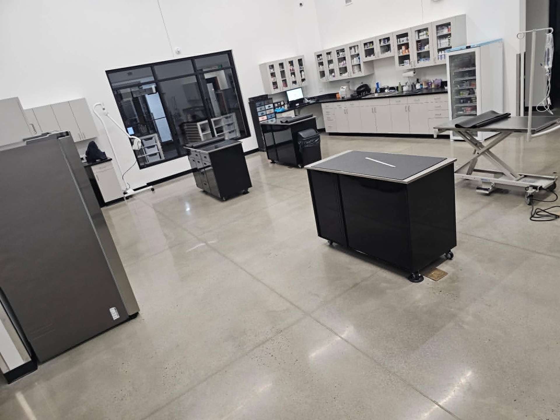 Spotless animal hospital treatment area with polished floors