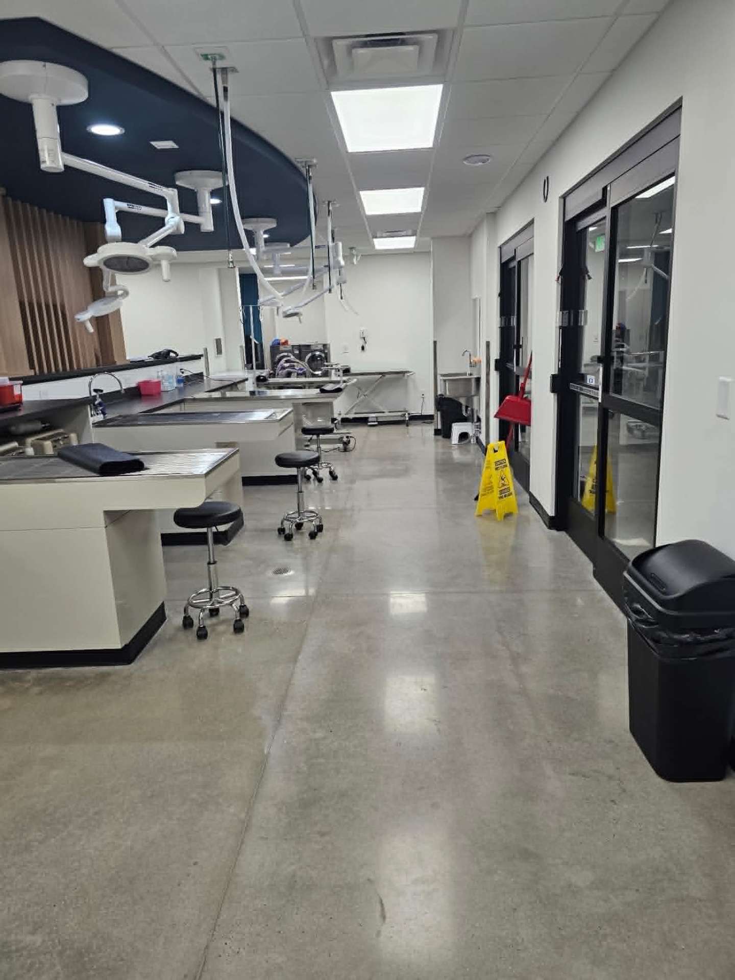 Clean veterinary surgical suite and exam corridor